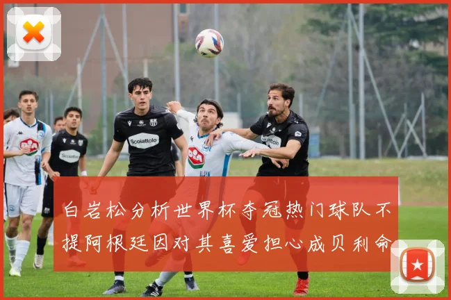 白岩松分析世界杯夺冠热门球队不提阿根廷因对其喜爱担心成贝利命运
