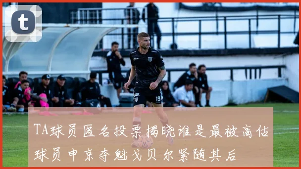 TA球员匿名投票揭晓谁是最被高估球员申京夺魁戈贝尔紧随其后